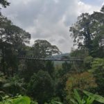 Penang Hill - The habitat