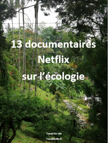 13 documentaires Netflix sur l'écologie