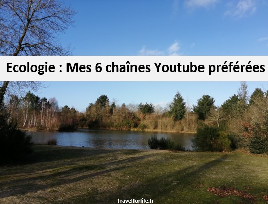 Mes 6 chaînes Youtube préférées sur l'écologie 3 Mes 6 chaines Youtube préférées sur l'écologie