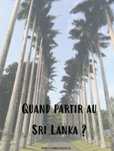 Quand partir au Sri Lanka ?