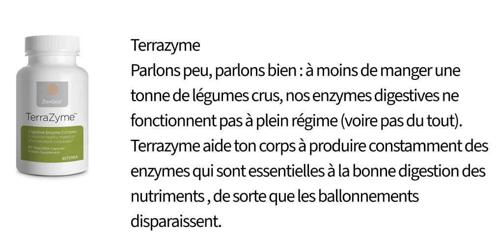 Enzymes digestives